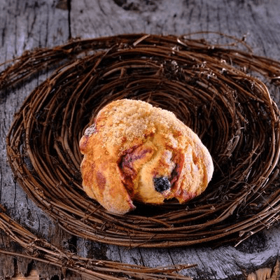 Blueberry Scone