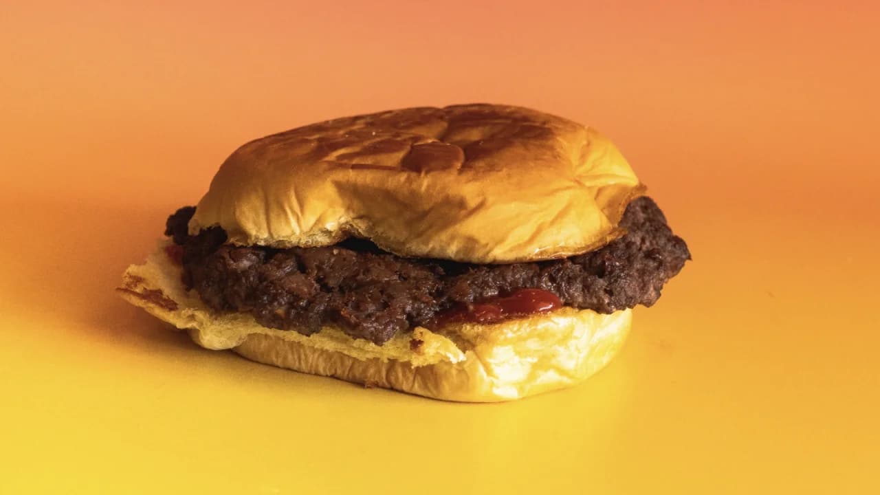 Lightweight Hamburger Platter